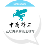 中商精英北京网络公司的LOGO